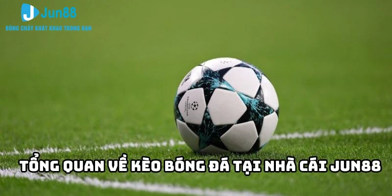 Cách đọc kèo bóng đá – Hướng d