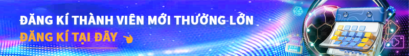 首页广告二